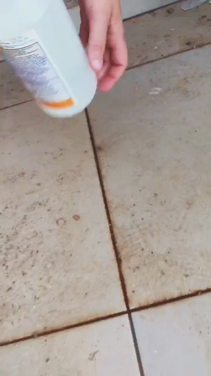 TALENTO REJUNTES 1L (Limpador Instantâneo para rejuntes cimentícios, resinados e acrílicos)